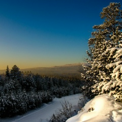 Артем Коротких, 24.04, Екатеринбург
