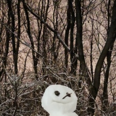 Максим Ф, 01.12.2007, Новосибирск