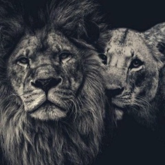 Zamir Papenov, 20.04