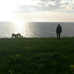 Илья Докучиц, Санкт-Петербург