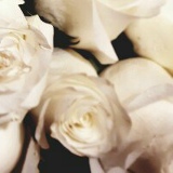 Анита Барская, 09.10.1920, Kingston