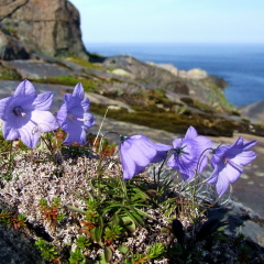 Мария Рубайло, 31.01.1988