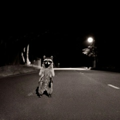 Евгений Perezz, 30.01, Троицк