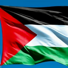 Алик Алик, 14.12