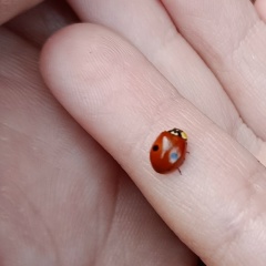 Иван Медведев, 01.08.1986, Екатеринбург