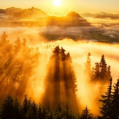 Алексей Смирнов, 22.11.1984, Санкт-Петербург