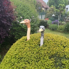 Сергей Маньковский, 26.01.1994, Berlin