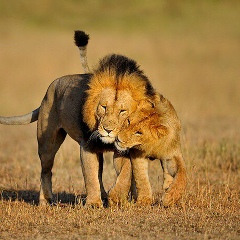 Астемир Астемиров, 28.11.1989, Нальчик