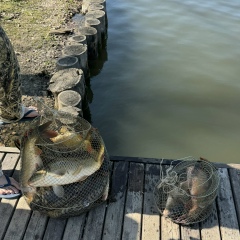 Салман Салманов, 21.03, Хабаровск