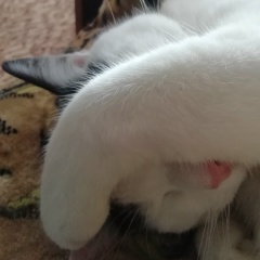 Алексей Бодров, 07.01.1989, Удомля