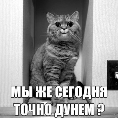 Colodii Constantin, Кишинев