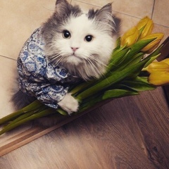 Алекс Кот, 21.09.2006, Москва