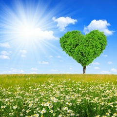 Анастасия Пахнина