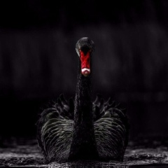 Гульназа Рахметова, 24.10, Алматы