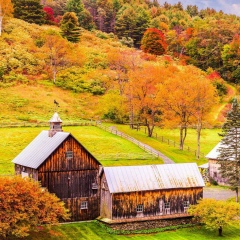 Жанара Раимбекова, 10.07, Усть-Каменогорск