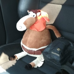 Роман Бубин