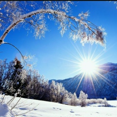 Гаухар Ибраева, 08.07, Семей