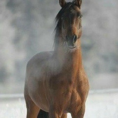 Нурсултан Аитбагамбетов, 22.11.1993, Актобе