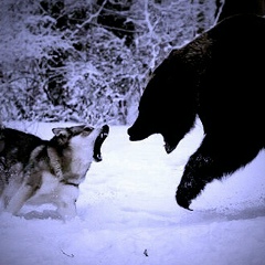 Rustaman Hakimow, 16.07.1989, Краснодар