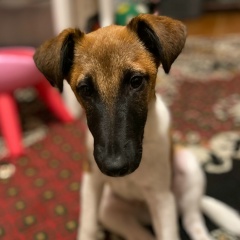 Алена Никоненко, 04.06.1990, Ногинск