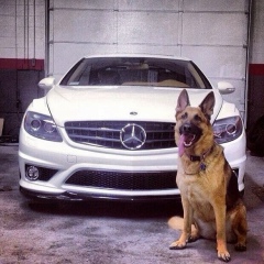 Ali Syidanov, 08.10.1999, Бишкек