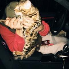 Тёма Артемов, 30.01