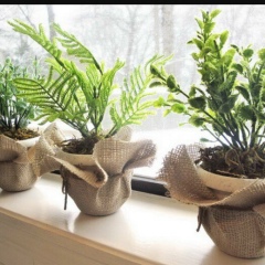 Рада Танатарова, 28.11, Астана