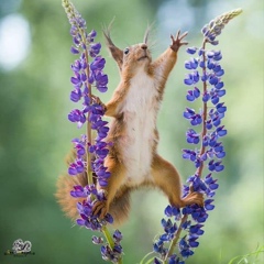 Ольга Олеярник, 27.07, Минск