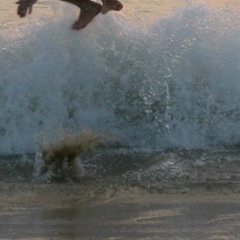 Иван Климов, Иркутск