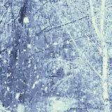 Алексей Фортунатов, 03.12, Санкт-Петербург