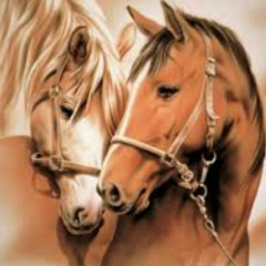 Бек Нуртазаев, 10.09.1989, Павлодар