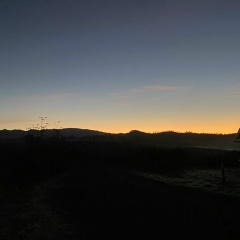 Randy Lopez Jr., 12.02.1997