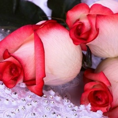 Катерина Мартыновская, 16.02.1990, Дубровка