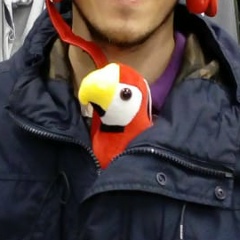 Илья Беляцкий, 12.05.1989, Санкт-Петербург