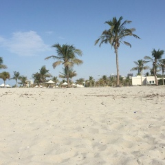 Зия Закир-заде, 31.08.1990, Dubai