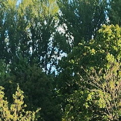 Светлана Ш, 26.01.1988, Москва