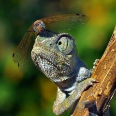 Мария Карасева, Санкт-Петербург