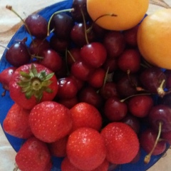 Надежда Жарова, 27.07, Звенигород