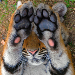 Алексей Ханхатов, 28.02, Улан-Удэ