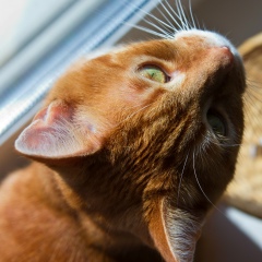 Юлия Кругаль, 18.08.1983, Санкт-Петербург