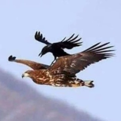 Айжан Рахманова, 23.10, Шымкент