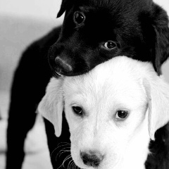 Жумарзат Бергалиева, 10.09.1988, Атырау