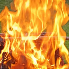 Роман Бедарев, 28.07.1978, Санкт-Петербург