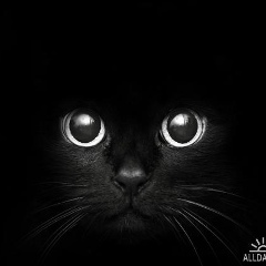 Елена Давыдова, 20.11, Челябинск