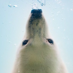 Екатерина Зыблева, 19.06, Санкт-Петербург