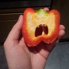 Дмитрий Перцев, 13.03, Петрозаводск