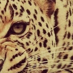 Евгения Урхаева, 13.09