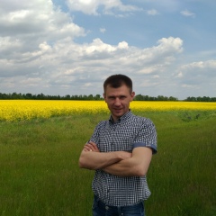 Олег Ильенко, Киев