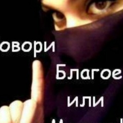 Муслим Амл, 11.11.2006