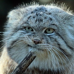 Дмитрий Владимирович, 28.04, Санкт-Петербург